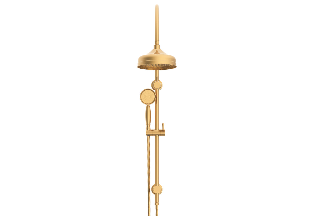 ADP Eternal Gooseneck Twin Shower Set Brushed Brass front view
