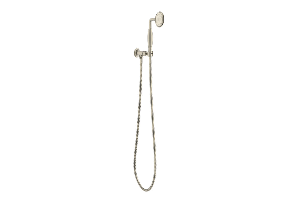 ADP Eternal Hand Shower on Hook Brushed Nickel