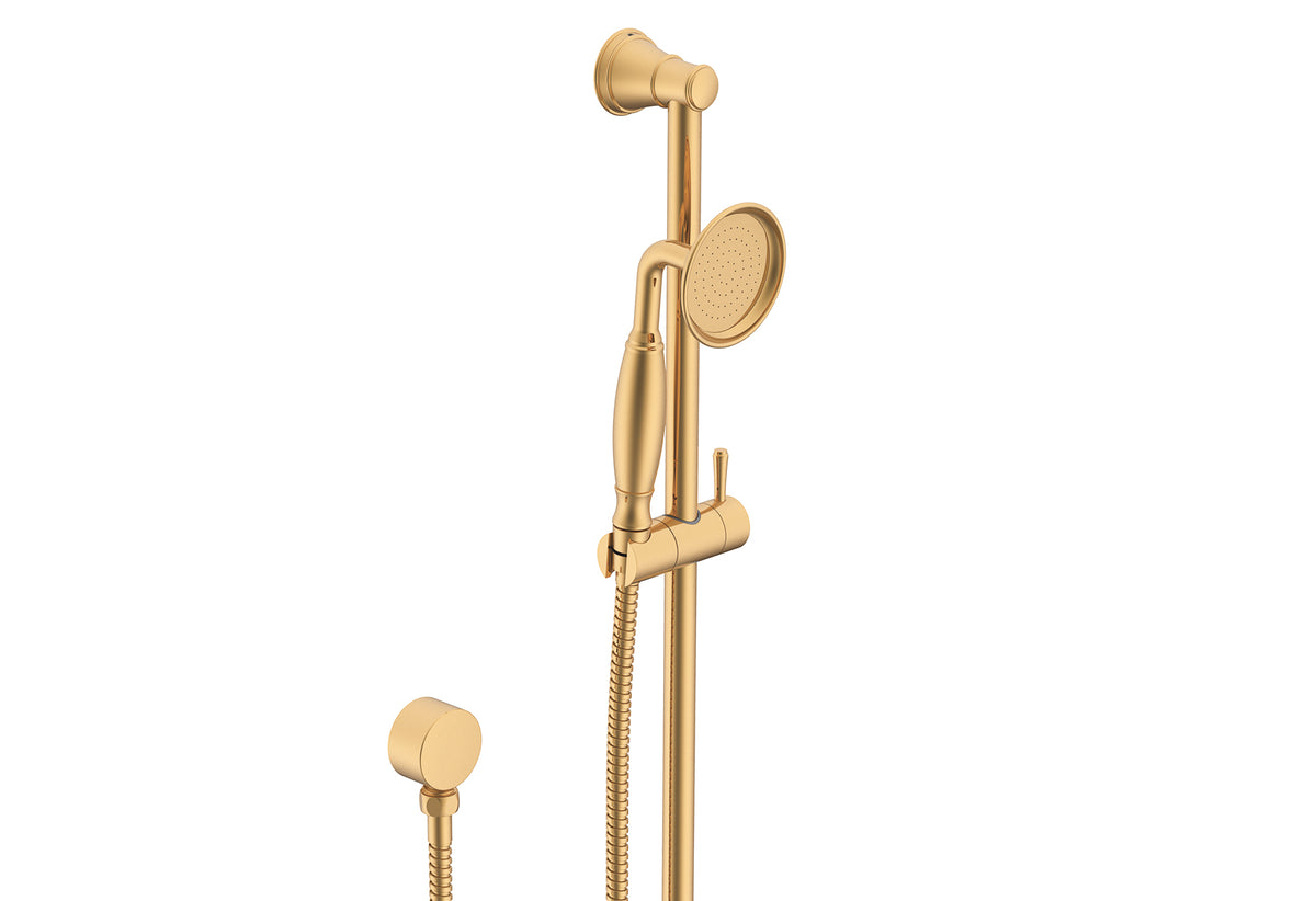 ADP Eternal Hand Shower on Rail Brushed Brass