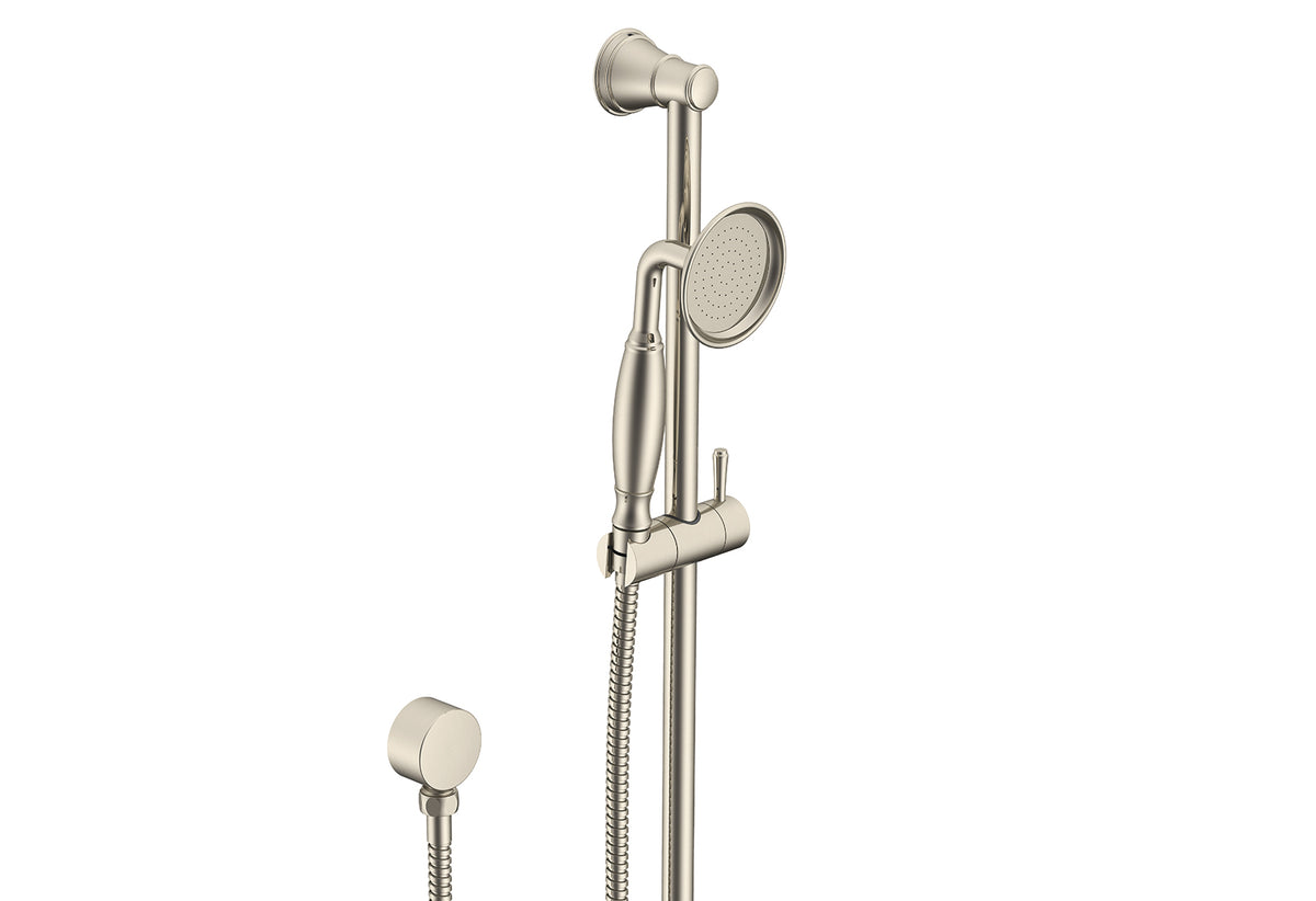 ADP Eternal Hand Shower on Rail Brushed Nickel