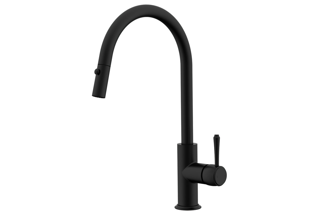 ADP Eternal Pull Out Kitchen Mixer Matte Black