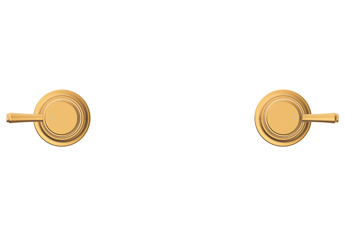 ADP Eternal Wall Top Assembly Brushed Brass