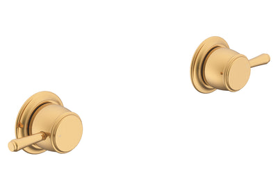 ADP Eternal Wall Top Assembly Brushed Brass