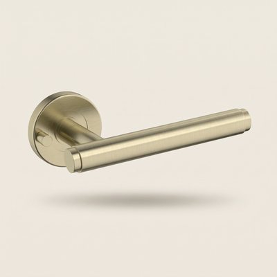 Privacy Levers