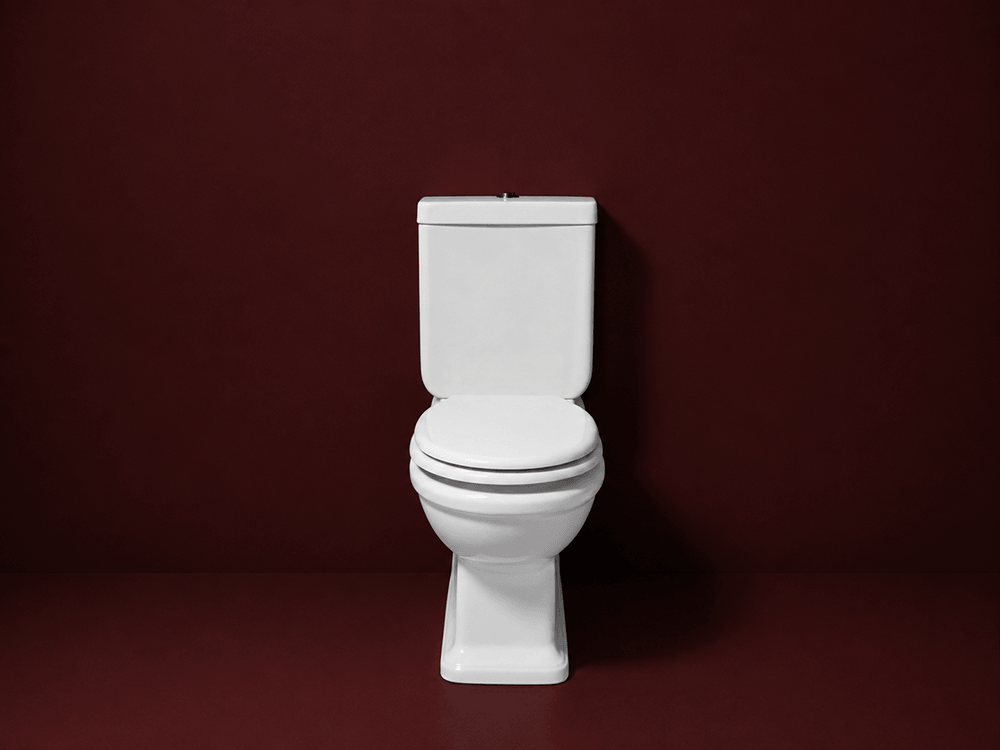 Turner Hastings Stafford Back to Wall Toilet Suite - Gloss White with Chrome Hinges
