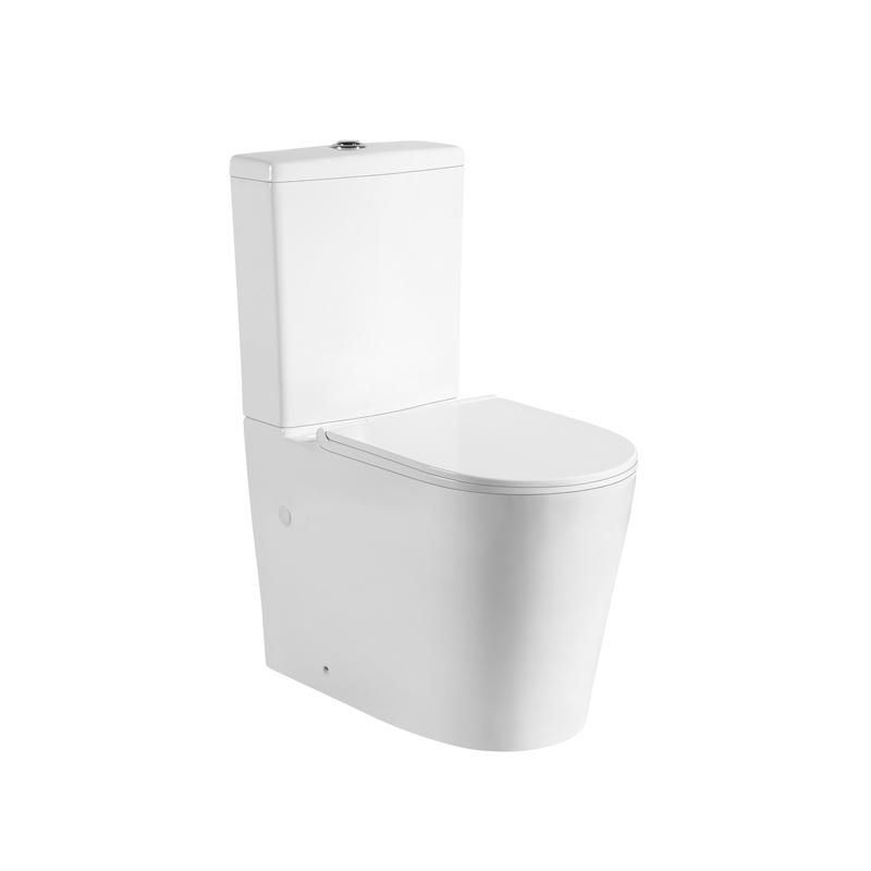 Ceramic Exchange Back To Wall Rimless Toilet