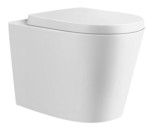 Ceramic Exchange Wall Faced White Floor Pan with Gebreit Matte White Flush Plate & Cistern
