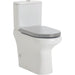 RAK Compact Back-to-Wall Toilet Suite, Grey - Designer Bathware