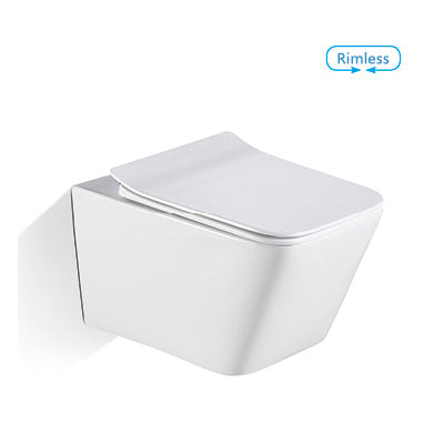 BNK Rimless Flushing Toilet