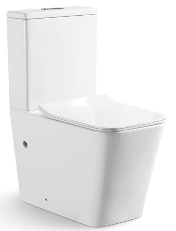 ACQUA-III Wall Faced Rimless Toilet Suite - Designer Bathware