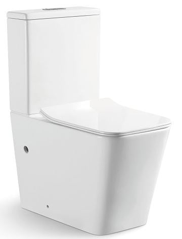 ACQUA-III Wall Faced Rimless Toilet Suite - Designer Bathware