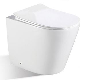BNK Rimless Gloss White Wall Faced Toilet Pan - Designer Bathware