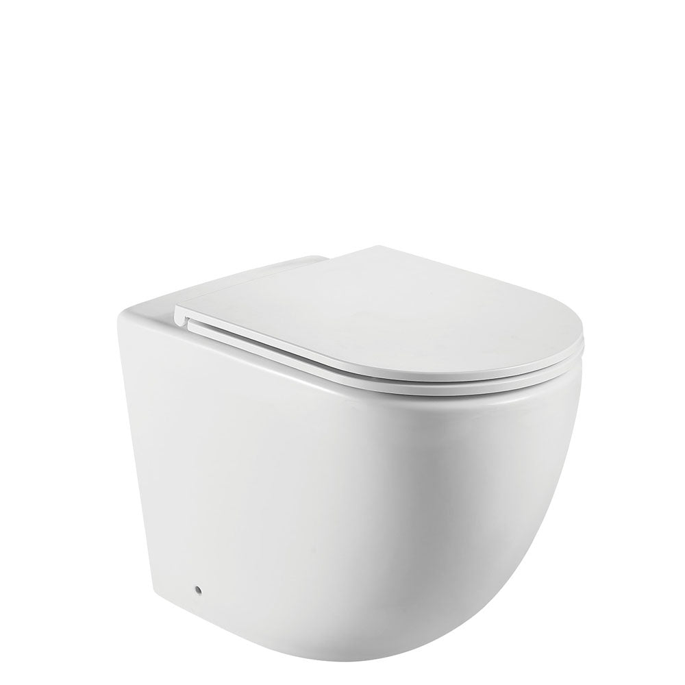Koko Rimless Wall Faced Toilet Pan Matte White - Designer Bathware