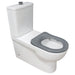 Stella Care Back-to-Wall Toilet Suite, Grey Seat - Designer Bathware