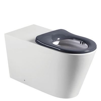Isabella Care Back-to-Wall Toilet Suite, Grey Seat