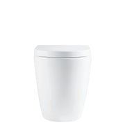Alix Ambulant Wall-Faced Toilet Suite - Designer Bathware