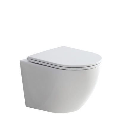 Koko Rimless Wall Hung Toilet Pan Matte White