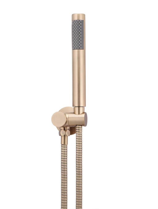 round-portable-hand-shower-on-bracket-champagne