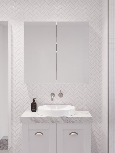 Tennessee Shaving Cabinet